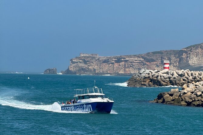 Boat Tour : Observation of Dolphins and Nazareth Canyon - Seeing Nazaré beach from offshore