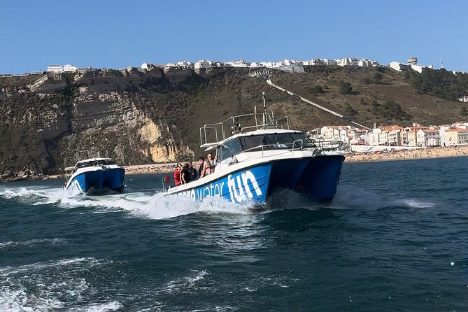 Boat Tour : Observation of Dolphins and Nazareth Canyon - A water view of Nazaré’s traditions