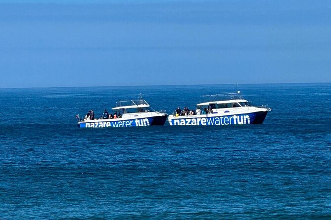 Boat Tour : Observation of Dolphins and Nazareth Canyon - How much value do you get for $78.60?
