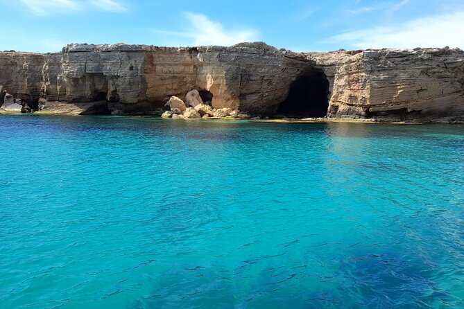 Boat tour with dolphin sighting - Why this boat trip works best as a private outing