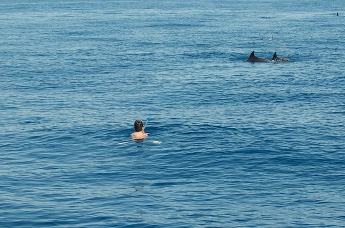 Boat tour with dolphin sighting - Ortigia’s landmarks from the water