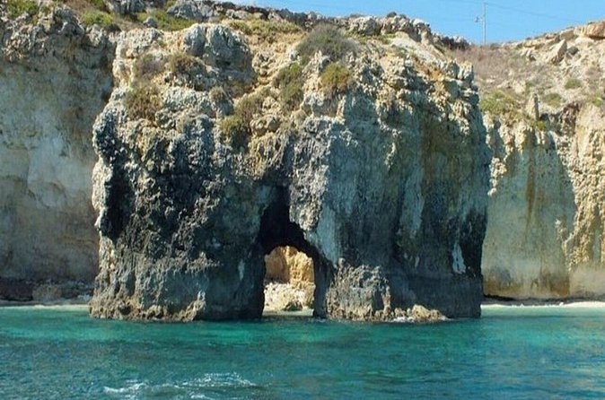 Boat tour with dolphin sighting - Plemmirio and the search for dolphins