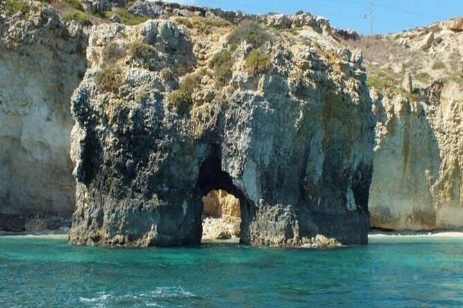 Boat tour with dolphin sighting - Drinks on board and the relaxed pace