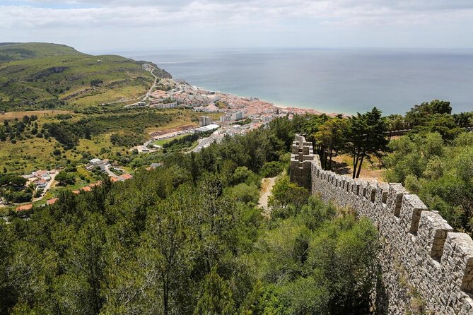 Boat Trip for Dolphin Watching along the Arrabida Coast and Sesimbra - What Makes This Boat Trip Worth Your Morning