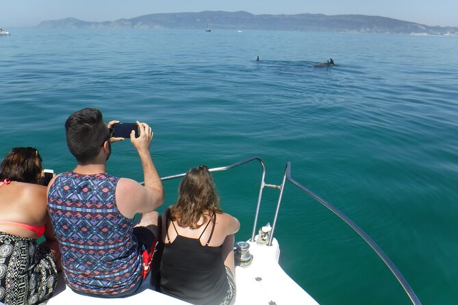Boat Trip for Dolphin Watching along the Arrabida Coast and Sesimbra - Beaches, Caves, and a Possible Swim