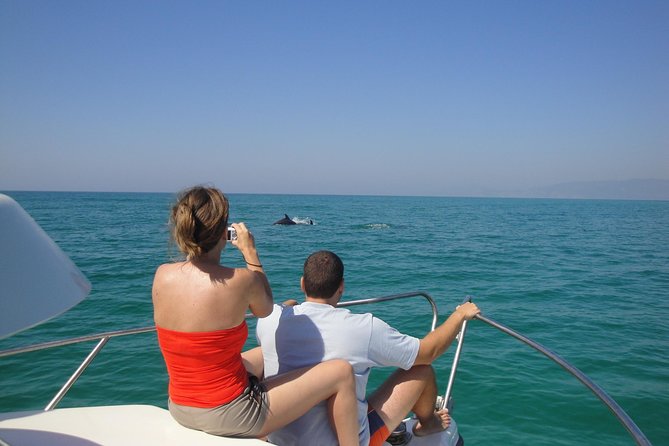Boat Trip for Dolphin Watching along the Arrabida Coast and Sesimbra - A Good Fit for Families and Curious Adults
