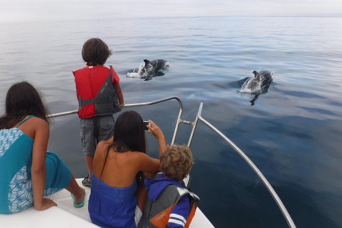 Boat Trip for Dolphin Watching along the Arrabida Coast and Sesimbra - What the $62.61 Price Gets You