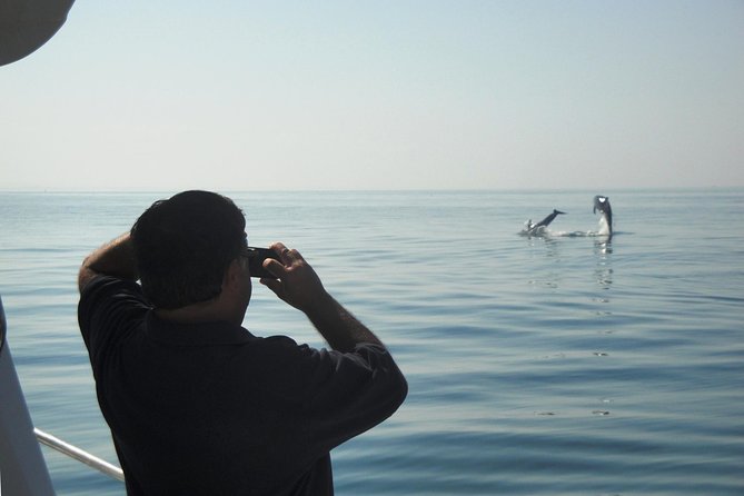 Boat Trip for Dolphin Watching along the Arrabida Coast and Sesimbra - Weather, Cancellations, and Practical Planning
