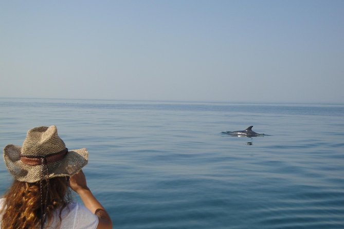 Boat Trip for Dolphin Watching along the Arrabida Coast and Sesimbra - Should You Book the Sesimbra Dolphin Trip?