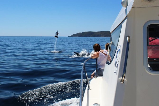 Boat Trip for Dolphin Watching along the Arrabida Coast and Sesimbra - Learning the Sea Along the Way