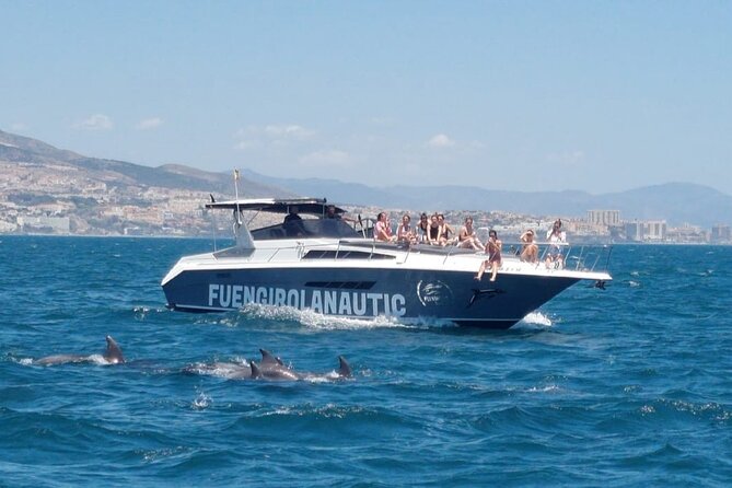 Boat Trip in Fuengirola, Dolphin Watching and Drinks - Dolphin watching depends on nature and timing