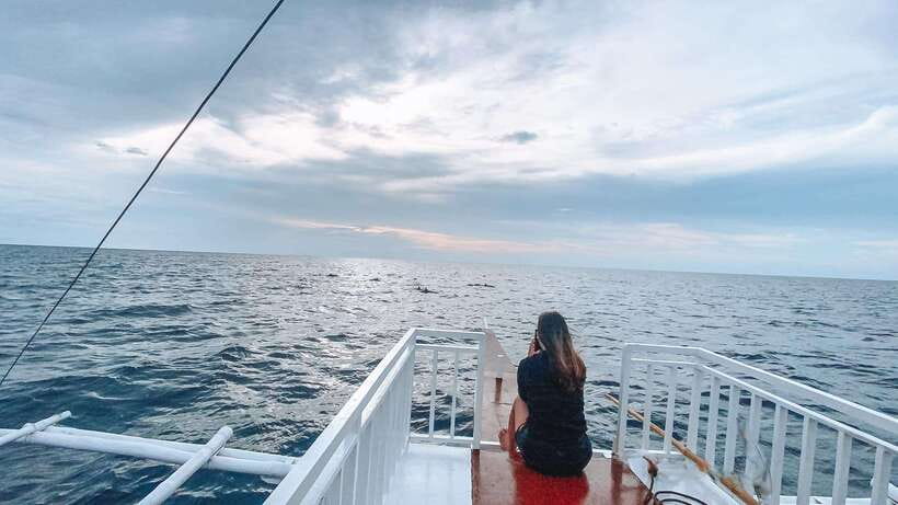 Bohol Balicasag Is Private Tour and Dolphin Watching - Balicasag Island: snorkeling, turtles, and clear water