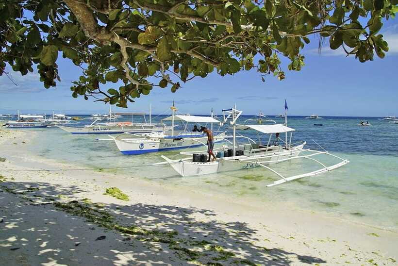 Bohol Balicasag Is Private Tour and Dolphin Watching - Is $108 per person good value?