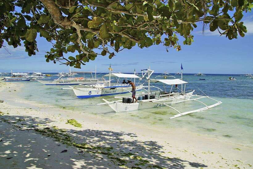 Bohol Balicasag Is Private Tour and Dolphin Watching - Dolphin watching without false promises