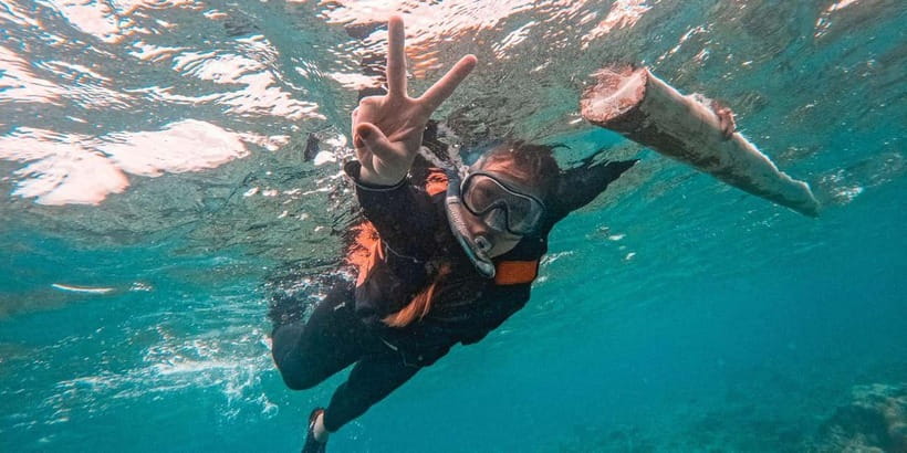 Bohol Dolphin Watching, Balicasag, and Virgin Island Tour - Balicasag Island and the best hour of snorkeling