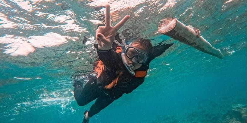 Bohol Dolphin Watching, Balicasag, and Virgin Island Tour - Crowds, timing, and the five-hour promise