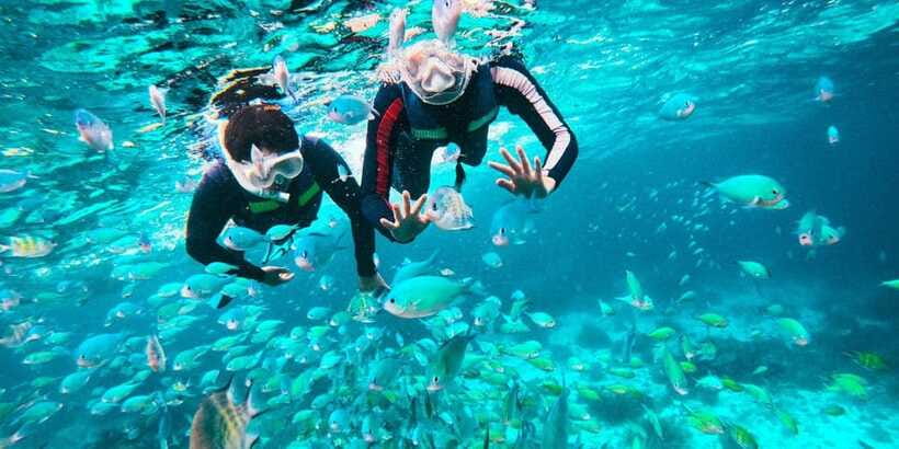 Bohol Dolphin Watching, Balicasag, and Virgin Island Tour - Who should book this Bohol outing?