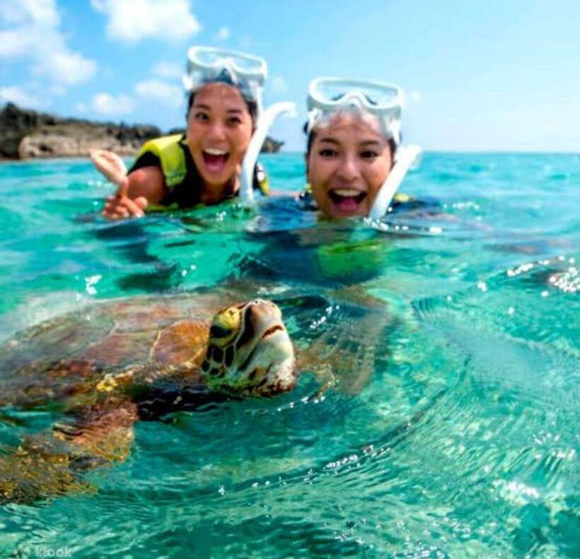 Bohol: Dolphin Watching & Sea Turtle Swim Island Tour - Why this six-hour tour works well