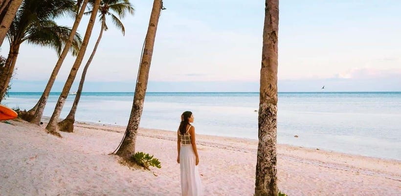 Bohol: Dolphin Watching & Sea Turtle Swim Island Tour - The island is for snorkeling, not lounging