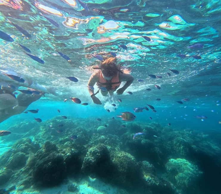 BOHOL: Dolphin Watching, Turtle Swim and Party Boat - Balicasag Island’s Turtle and Coral Stop