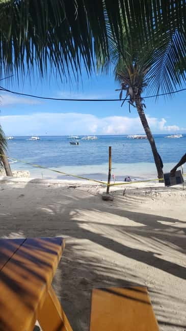 BOHOL: Dolphin Watching, Turtle Swim and Party Boat - Filipino Lunch and Beach Time