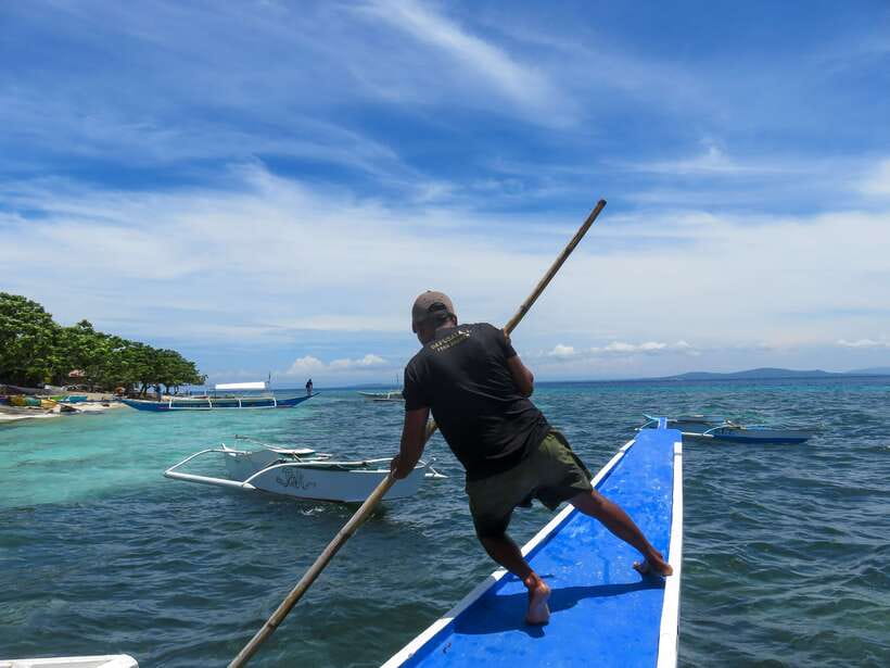 Bohol: Pamilacan Island Dolphin/Turtle Watching Tour & Lunch - Five things worth knowing before you book
