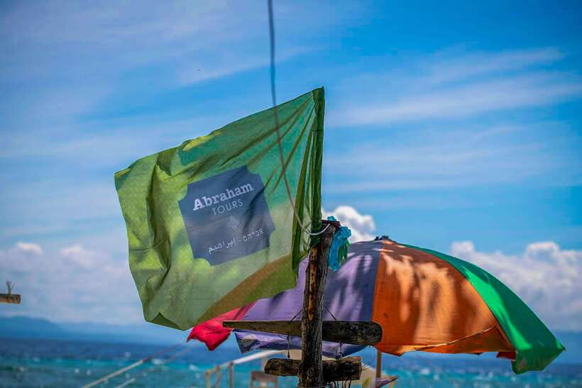 Bohol: Pamilacan Island Dolphin/Turtle Watching Tour & Lunch - Who should book this experience?