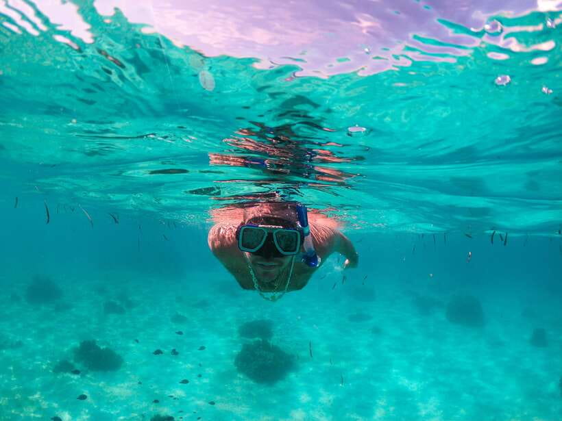Bohol: Pamilacan Island Dolphin/Turtle Watching Tour & Lunch - Cruising the Bohol Sea for dolphins