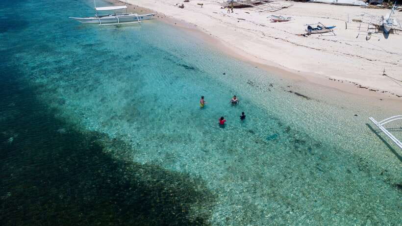 Bohol: Pamilacan Island Dolphin/Turtle Watching Tour & Lunch - Turtle snorkeling and the coral garden