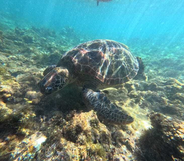 Bohol PREMIUM PAMILACAN Island Tour - Lunch prepared by a local family