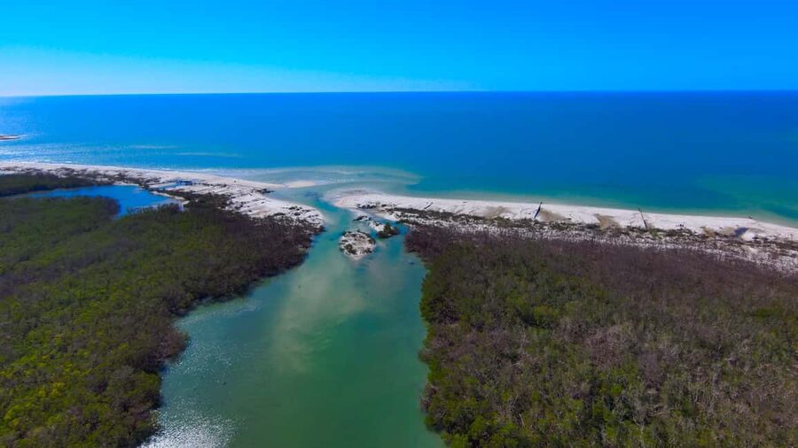 Bonita Springs Clear Kayak Tour with Dolphins & Manatees - How much value do you get for $55?