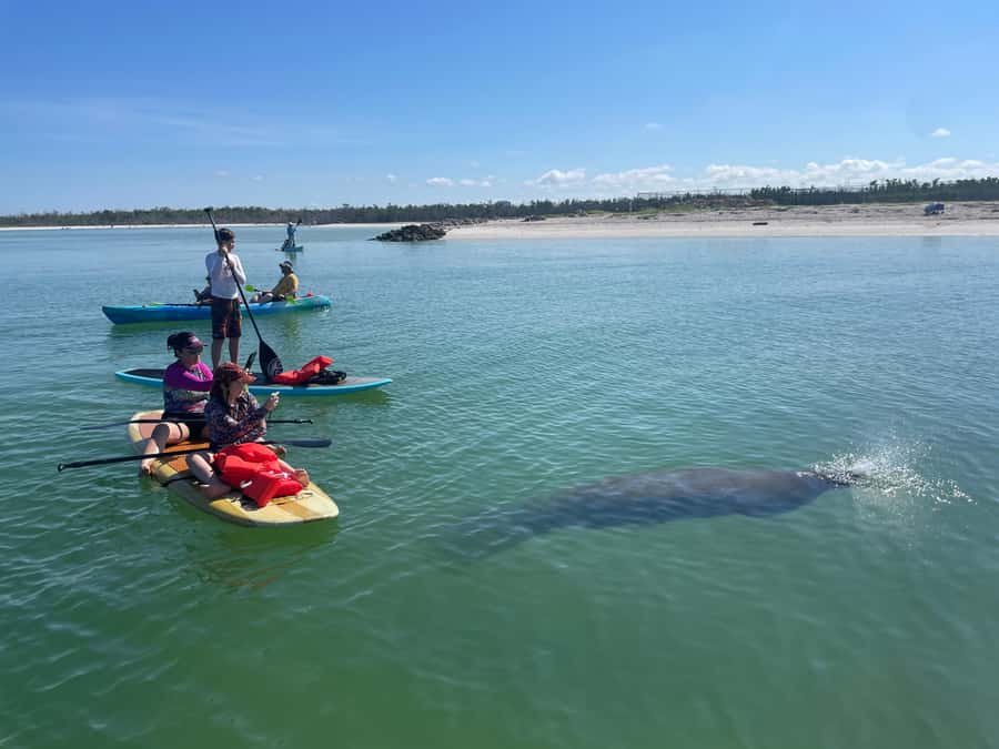 Bonita Springs Dolphin, Manatee & Sea Turtle Adventure Tour! - The launch point needs a phone call