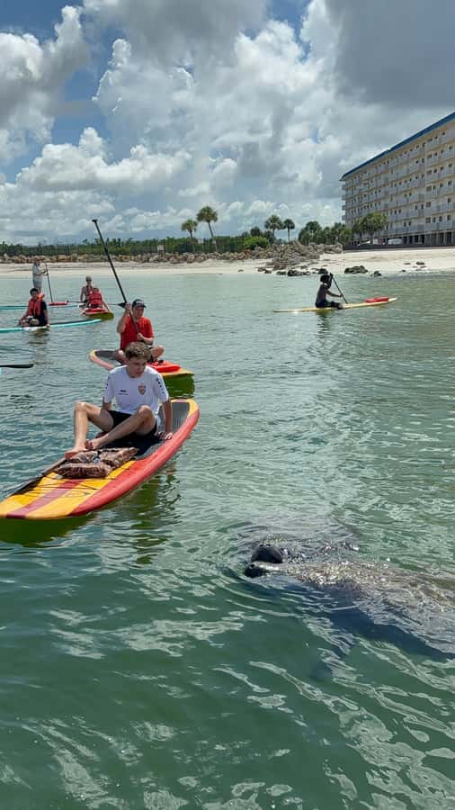 Bonita Springs Dolphin, Manatee & Sea Turtle Adventure Tour! - The $65 price: fair, with conditions