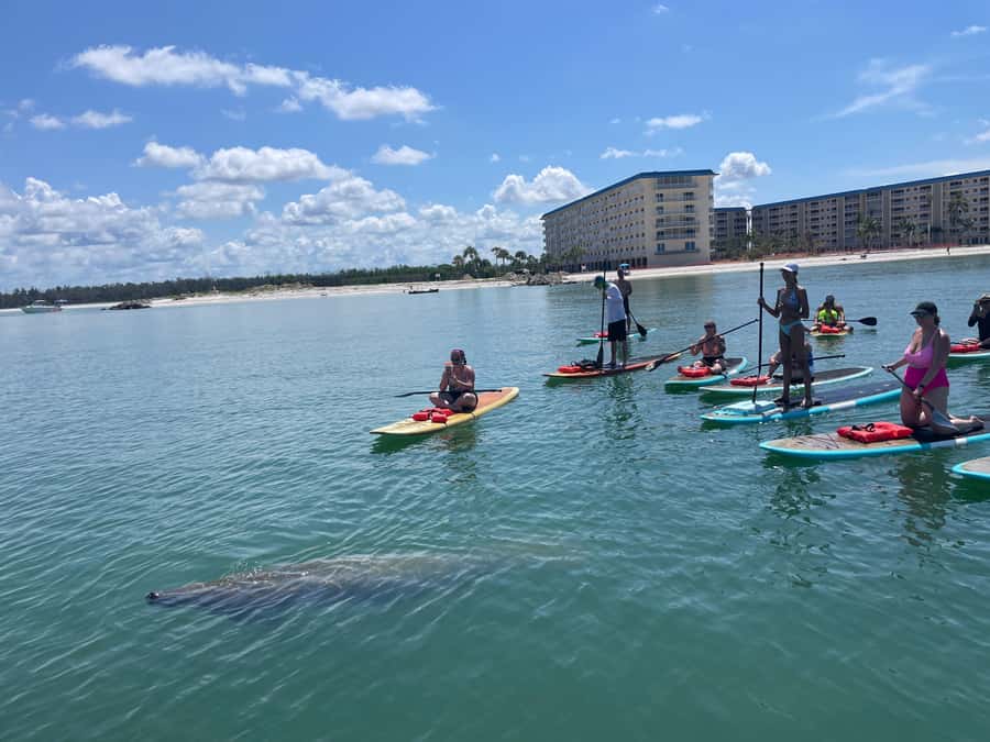 Bonita Springs Dolphin, Manatee & Sea Turtle Adventure Tour! - Who should book this adventure?