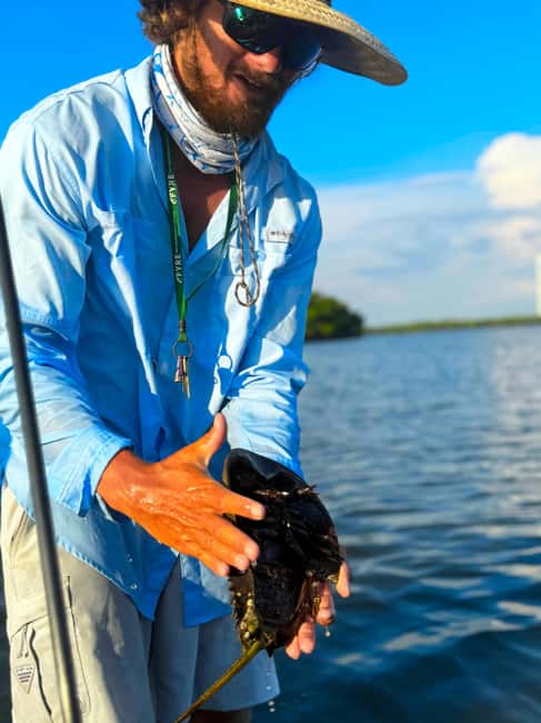 Bonita Springs: Kayak Tour with Manatees, Dolphins Sightings - Starting beside Big Hickory Pass Bridge