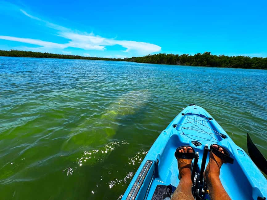 Bonita Springs: Kayak Tour with Manatees, Dolphins Sightings - Through mangrove tunnels and shallow flats