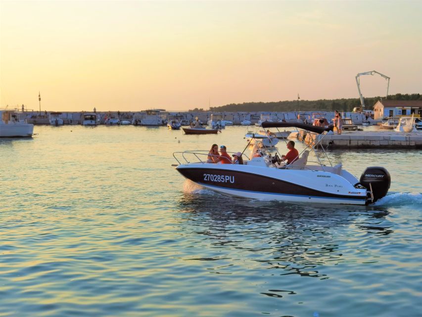 Brijuni Islands: Sunset & Dolphins private boat tour - Chasing dolphins on the Adriatic coast