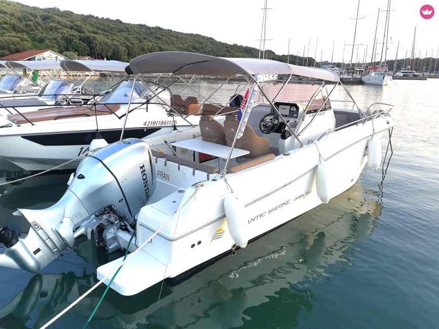 Brioni Private Sunset and Dolphin Boat Tour up to 11 people - Key points to know before booking