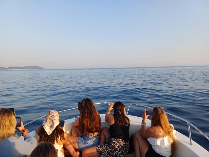 Brioni Private Sunset and Dolphin Boat Tour up to 11 people - The dolphin search near Brijuni