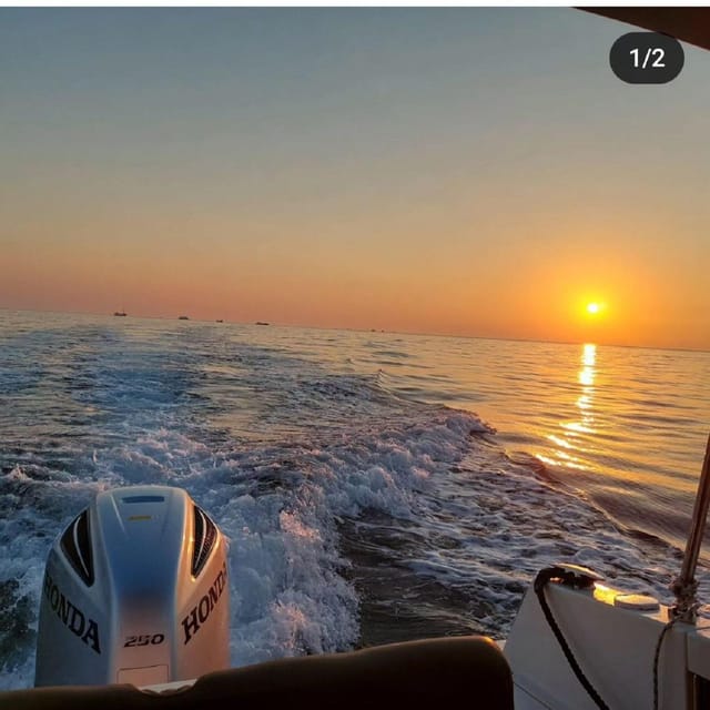 Brioni Private Sunset and Dolphin Boat Tour up to 11 people - Who gets the best value from this tour