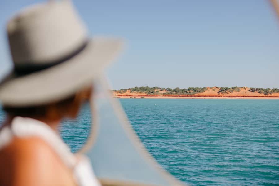 Broome: Snubfin Dolphin Cruises - Is the $116 price good value?