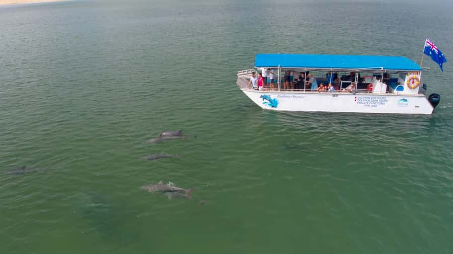 Bunbury: Swim with Dolphins Tour - Practical Tips for a Better Morning