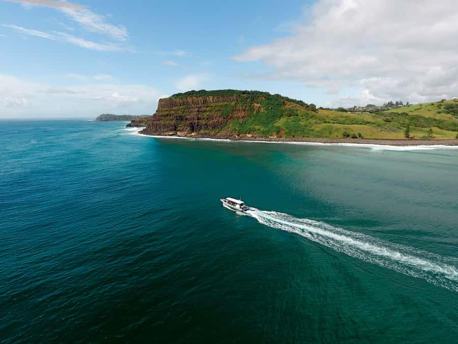 Byron Bay: Cruise with Dolphins Tour - Who should book this cruise?