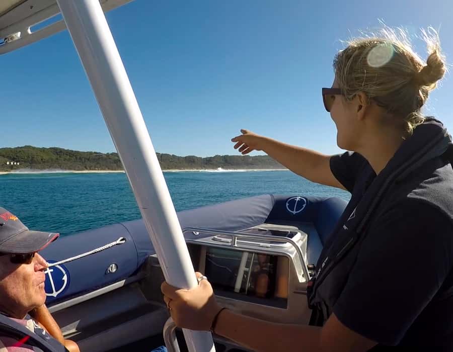 Byron Bay: Cruise with Dolphins Tour - Looking for turtles and other marine life