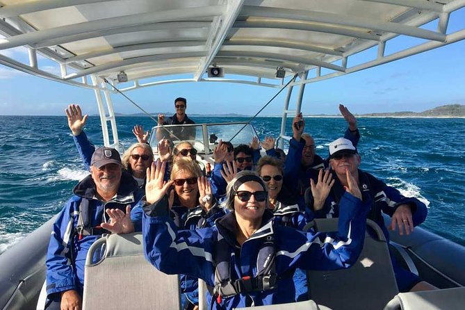 Byron Bay Dolphin Tour - Ocean Safari - A 90-minute view of Cape Byron Marine Park