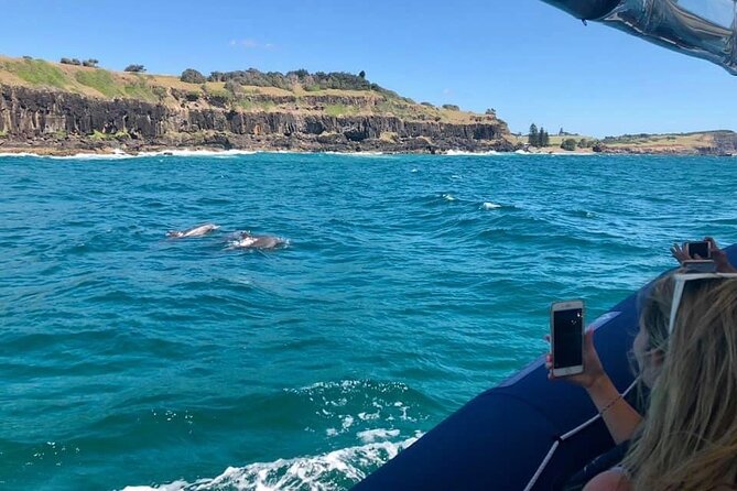 Byron Bay Dolphin Tour - Ocean Safari - The boat ride is part of the attraction