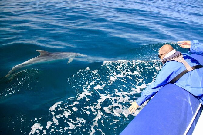 Byron Bay Dolphin Tour - Ocean Safari - Price, group size, and booking value