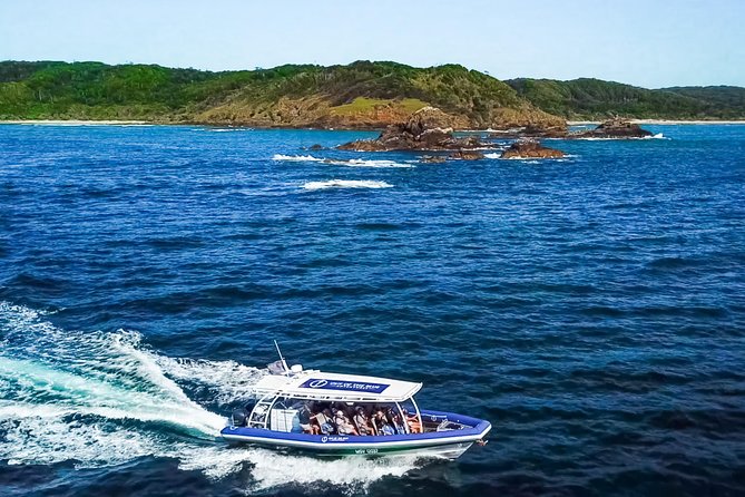 Byron Bay Dolphin Tour - Ocean Safari - Searching for dolphins in the bay