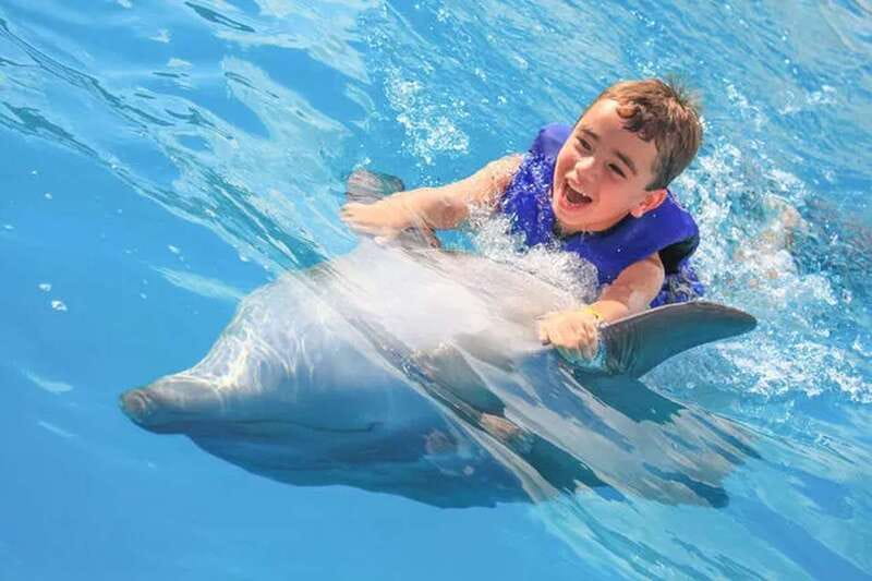 Cabo San Lucas: Dolphin Swim Class with Marine Specialist - What Makes This Dolphin Program Different
