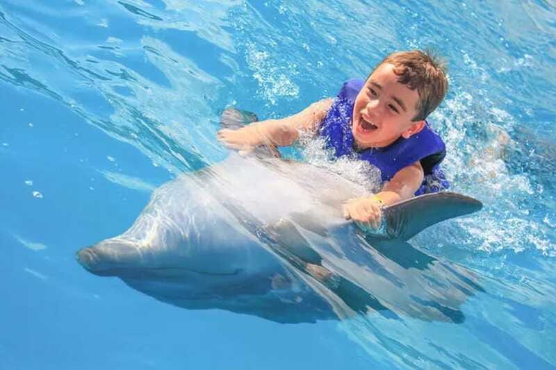 Cabo San Lucas: Dolphin Swim Class with Marine Specialist - A Family-Friendly Experience With Clear Limits